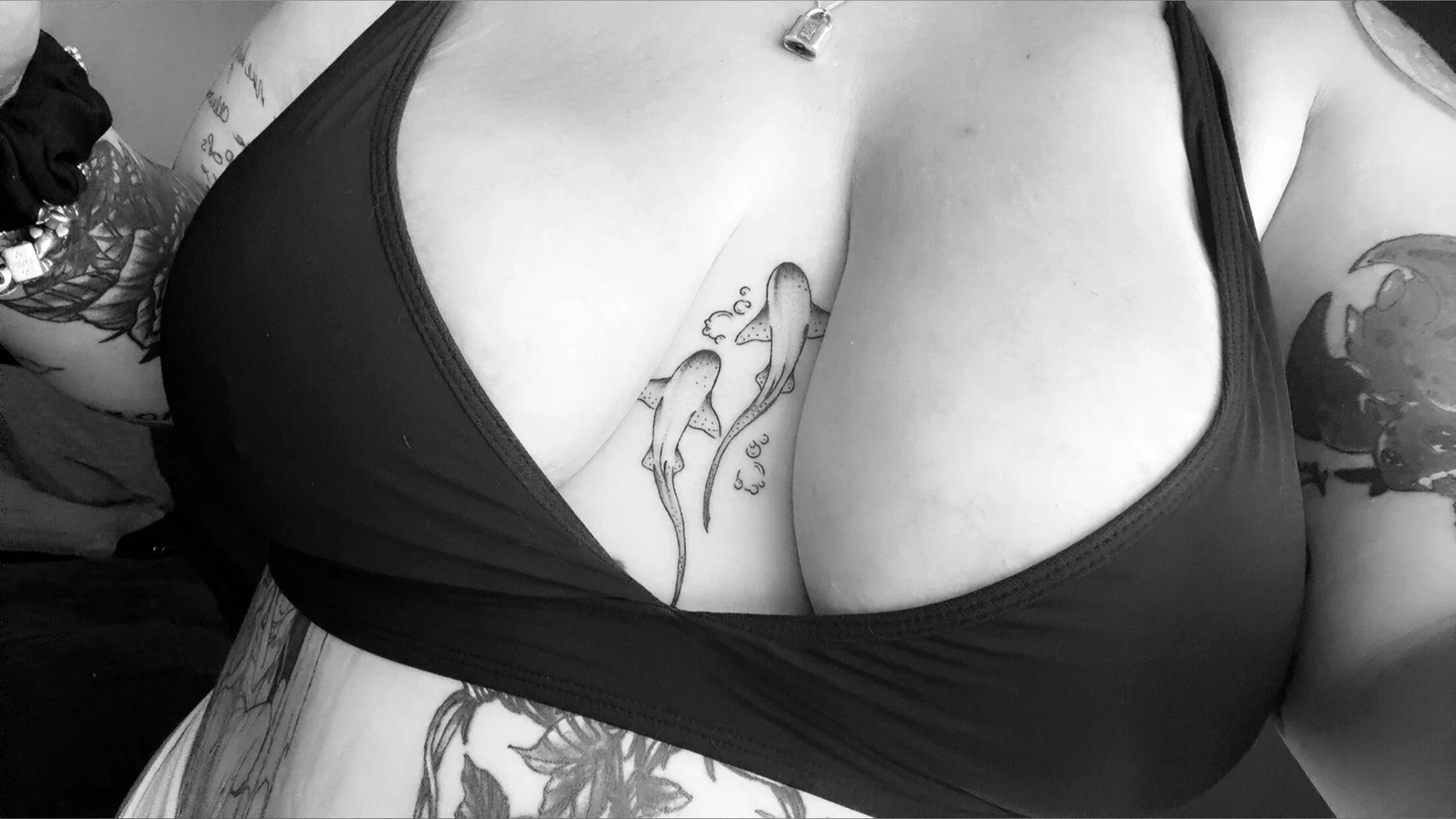 Em xo profile banner