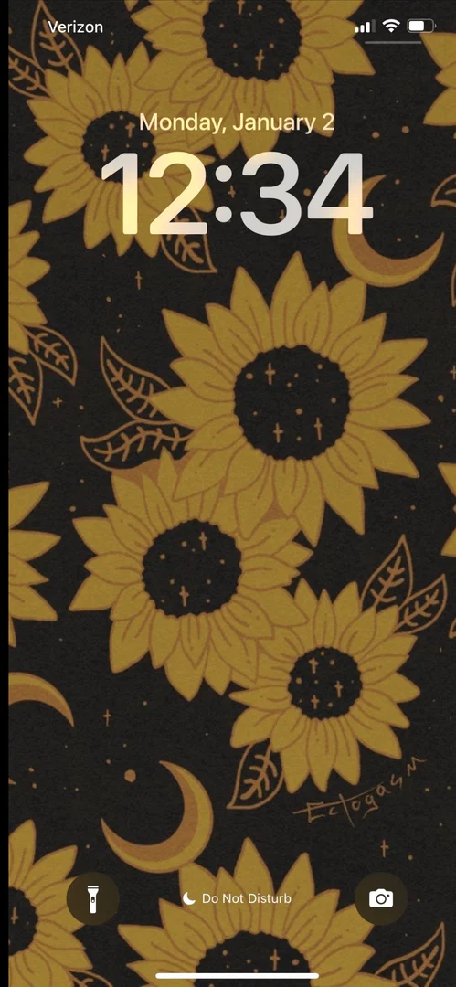 Rowena Raven profile banner