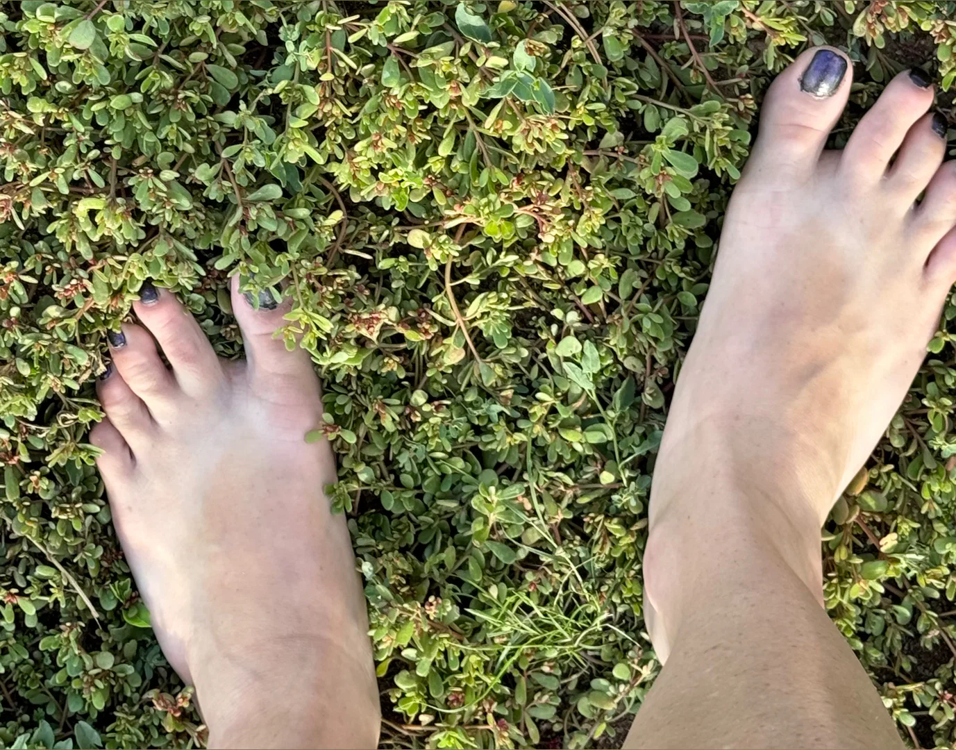 SquishyTwinkleToes profile banner