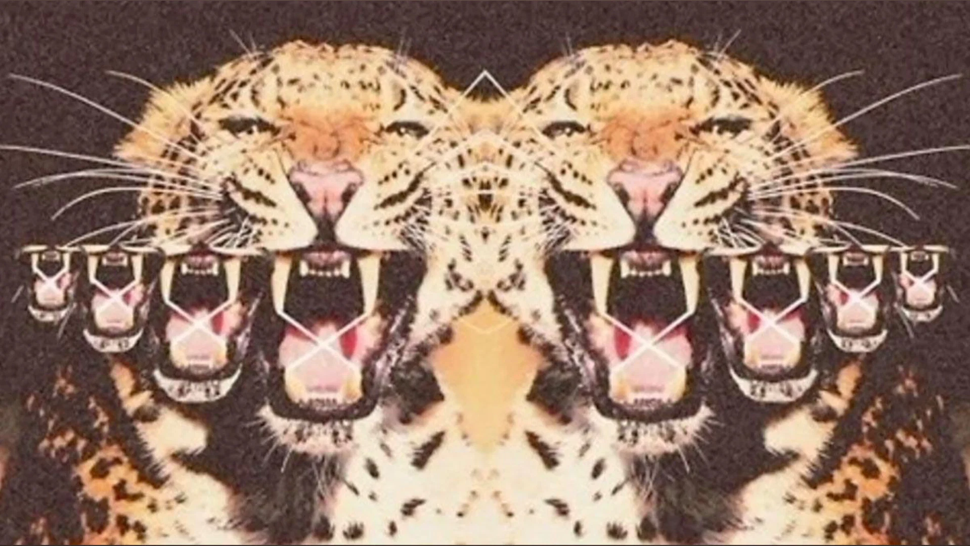 Xoxokelss profile banner