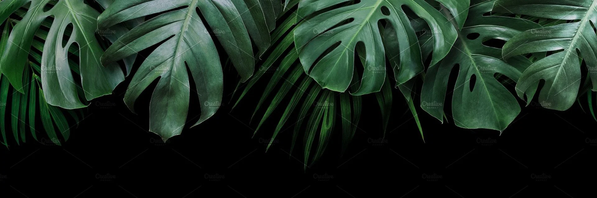 🌿REDDEA🌿 profile banner