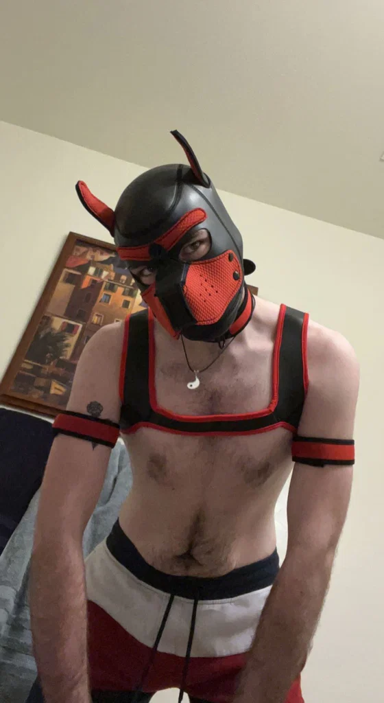 Willy D's avatar