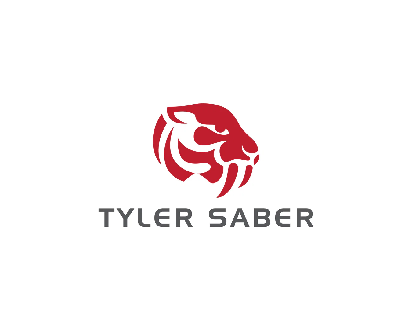 Tyler Saber profile banner