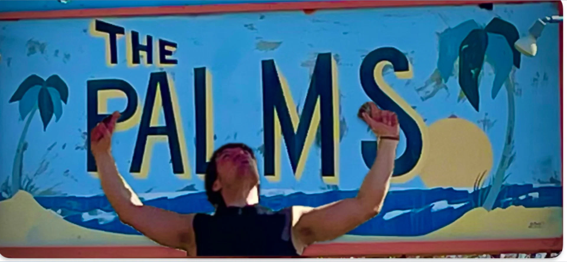 Johnny Palms profile banner