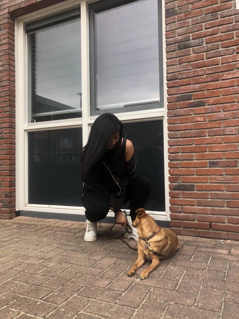 Nay's avatar