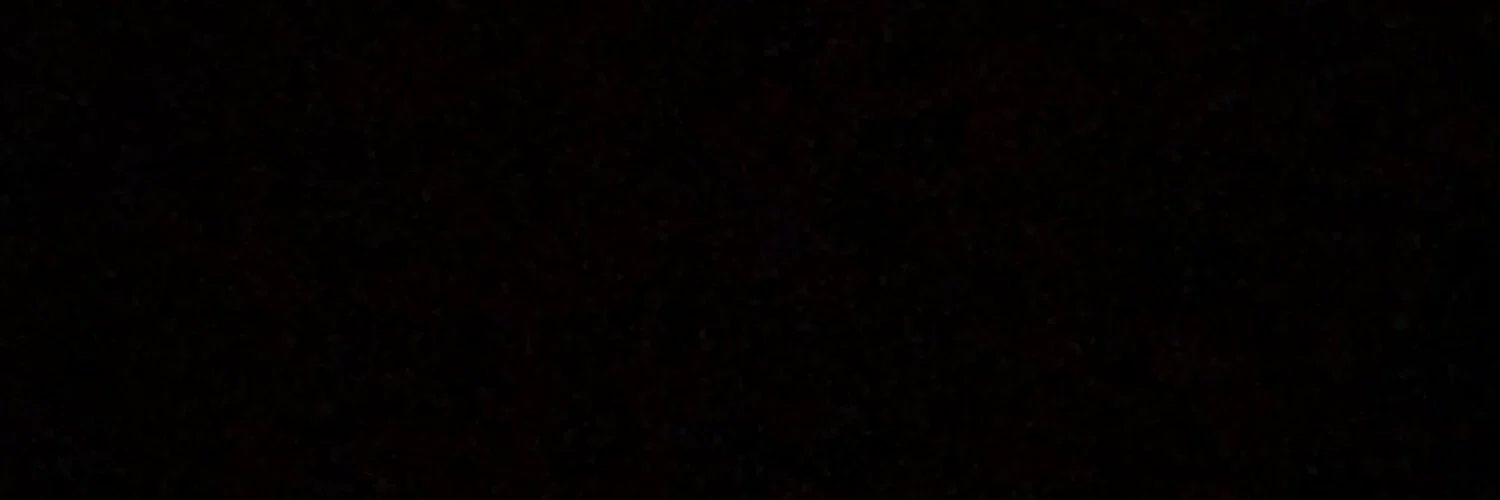 nopidasmucho profile banner