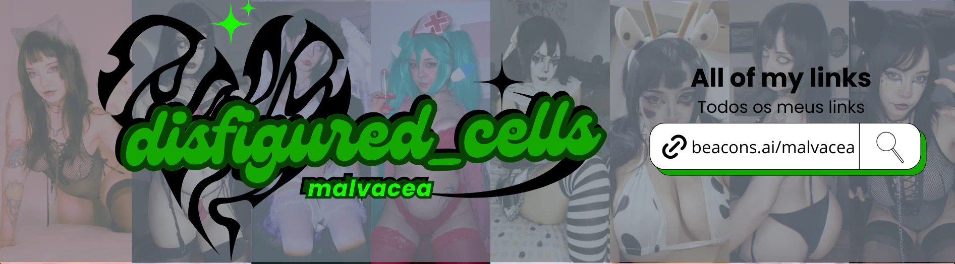 Malva π profile banner
