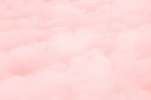 Wynter Woods profile banner