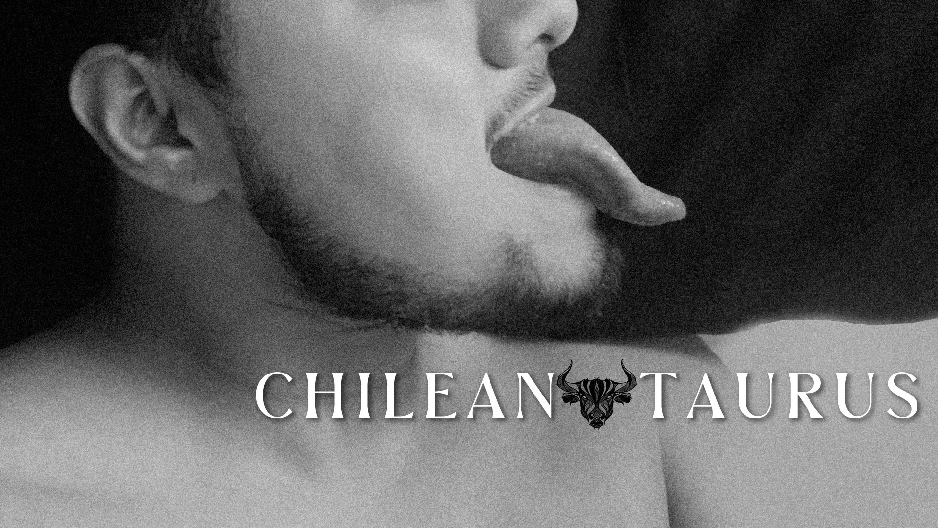 @ChileanTaurus🦬🔥 profile banner