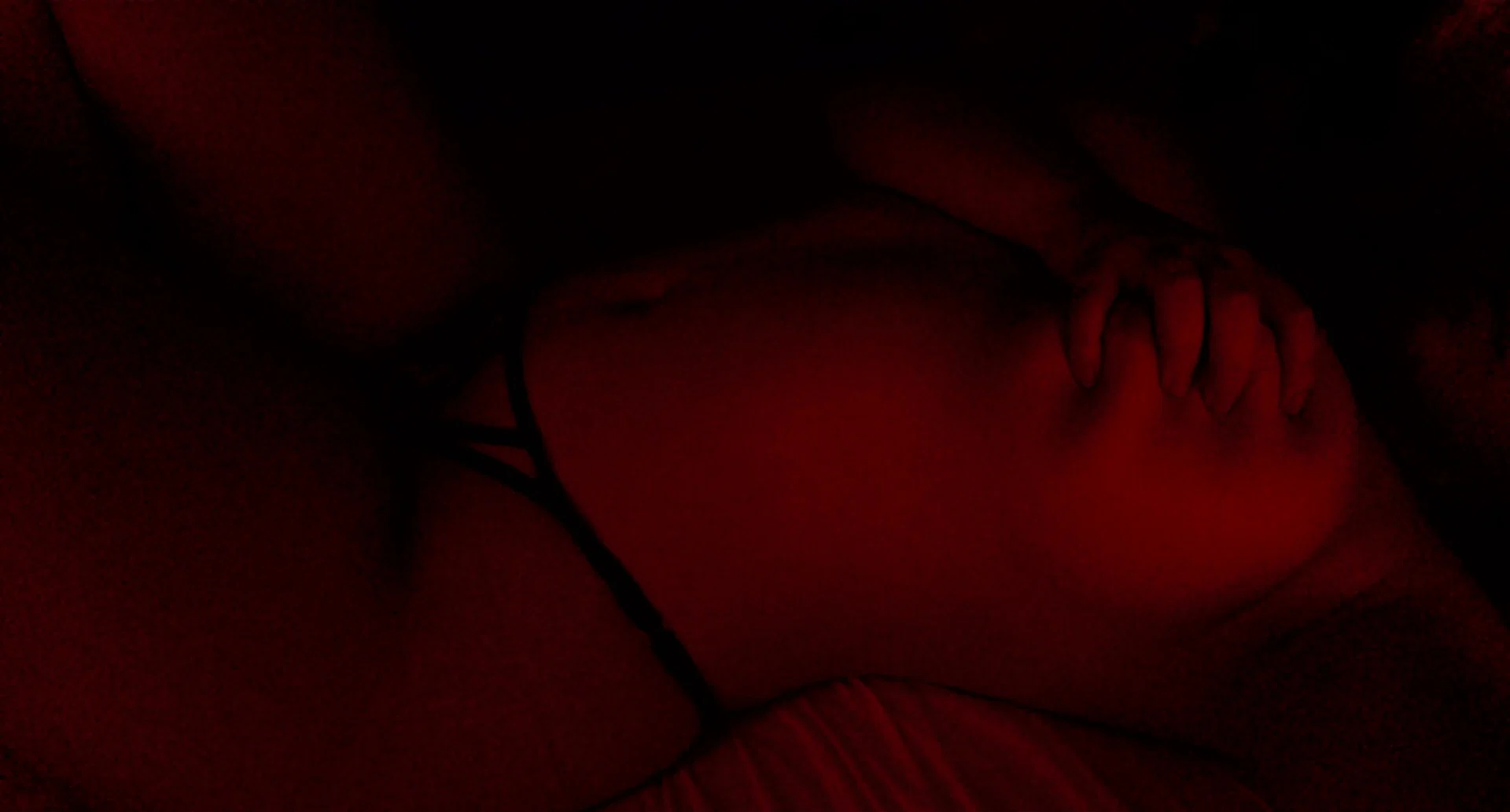 Bailee profile banner