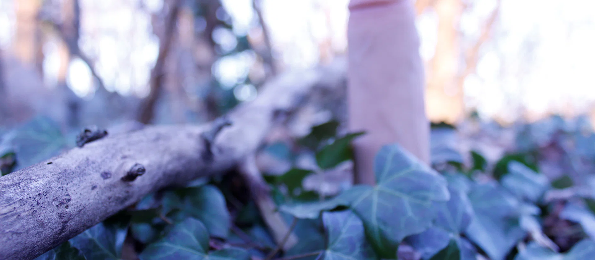 Gladpus profile banner