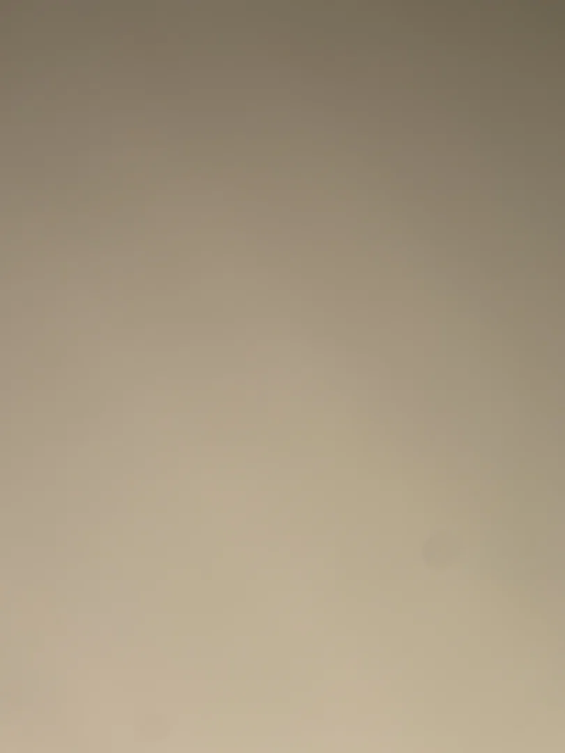 DaisyBunni π°π profile banner