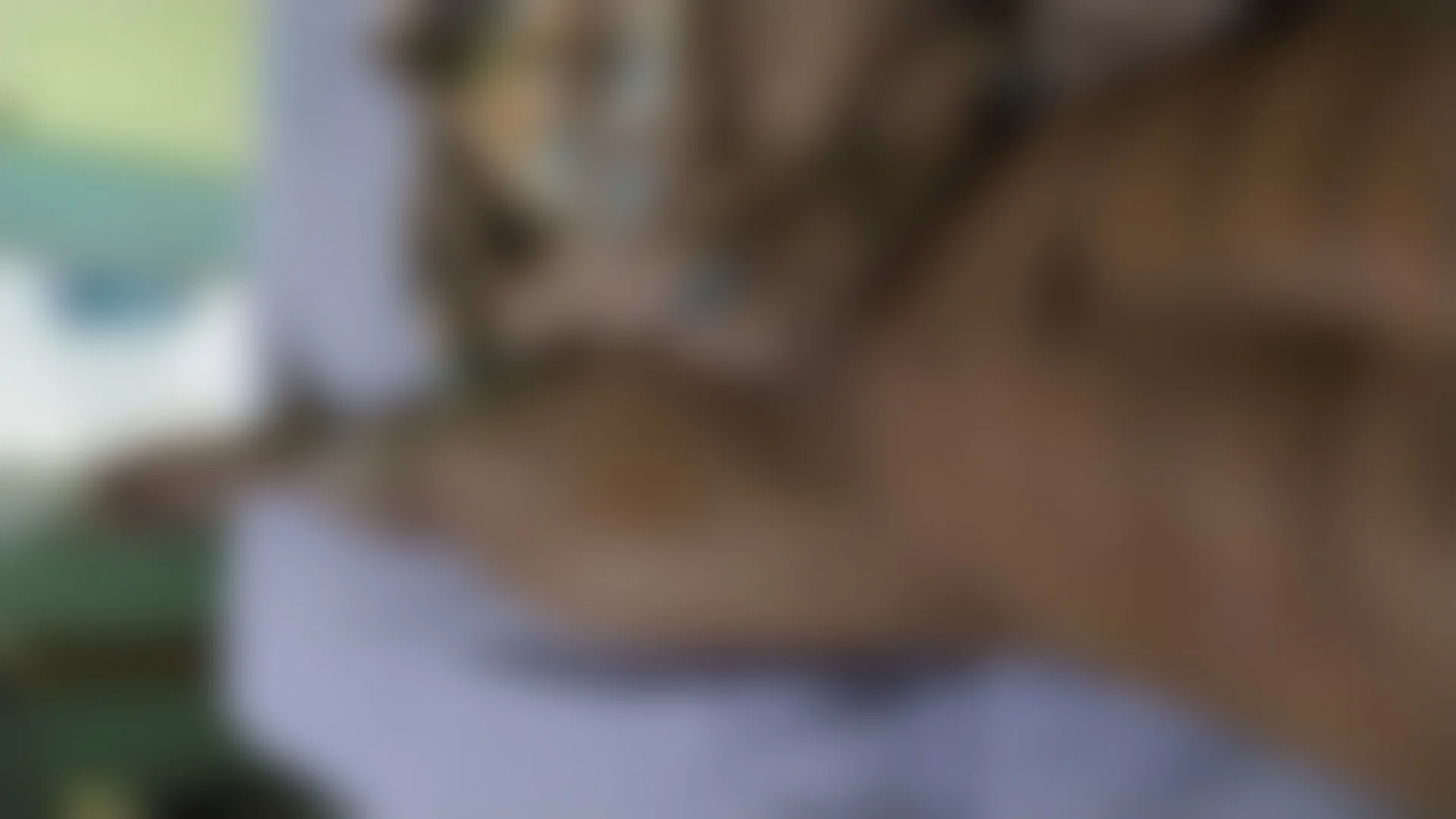 Wesley Alves profile banner