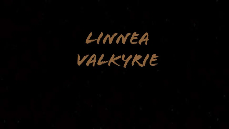 LinneaValkyrie profile banner