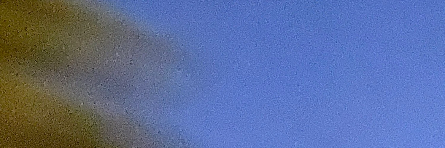 Sav profile banner