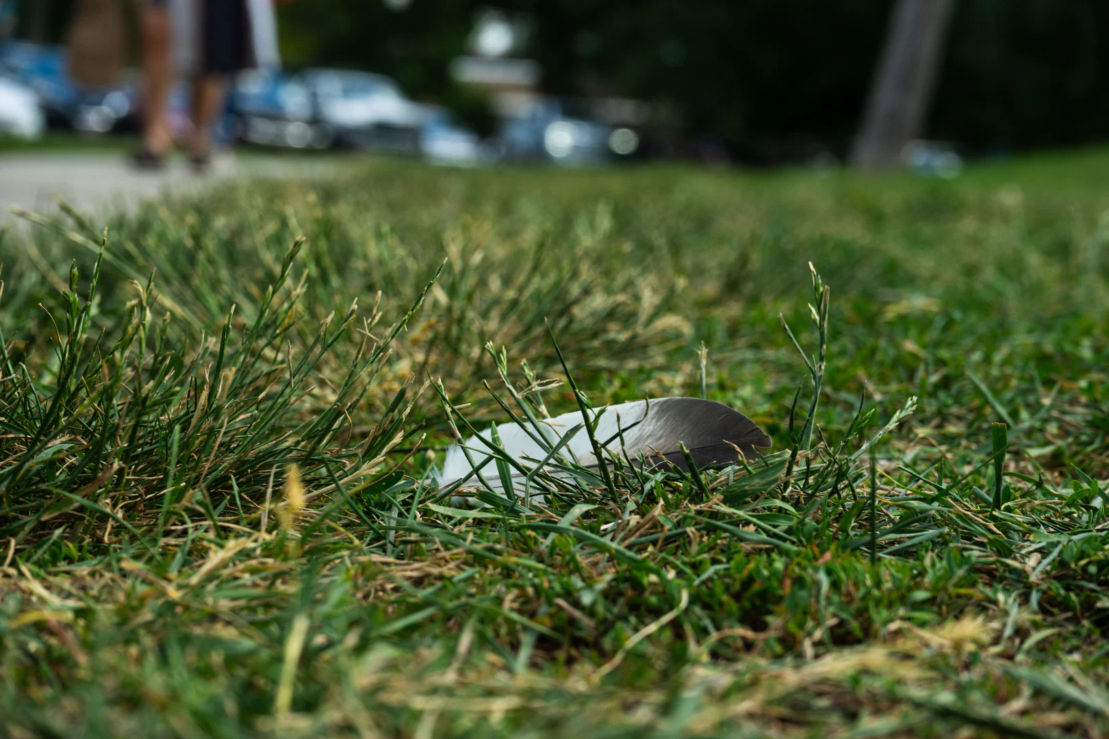 Konig Ratte profile banner