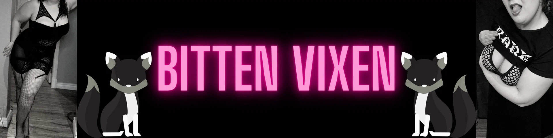 Bitten Vixen profile banner