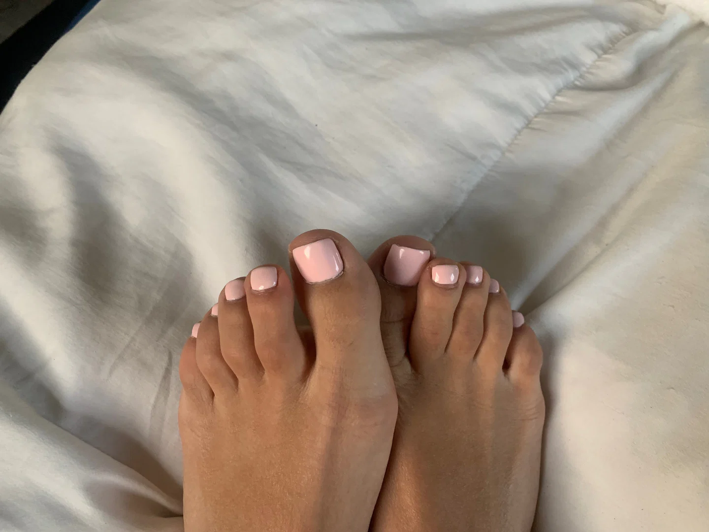 Jaylene profile banner
