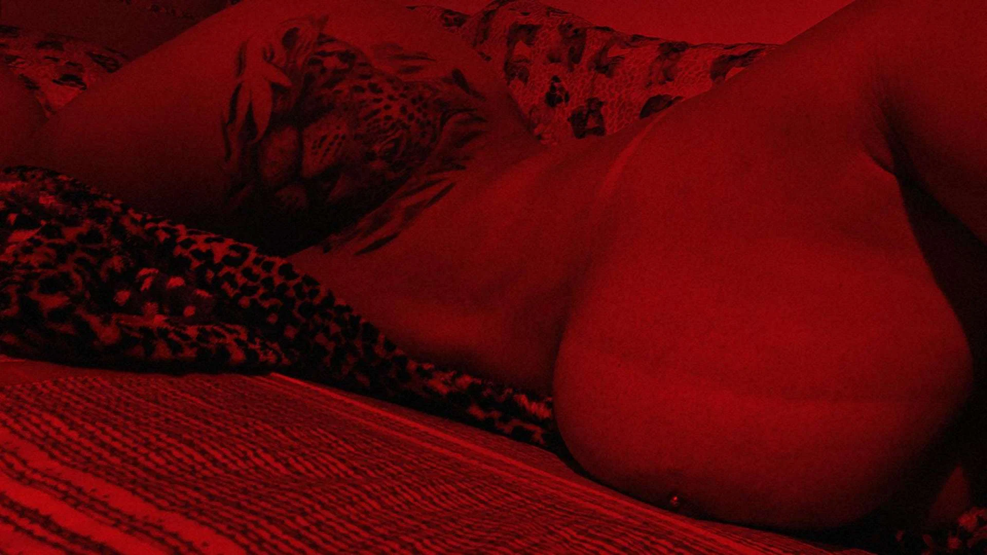 Lady Purr profile banner