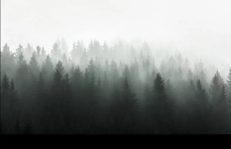 Throbbin' Hood profile banner