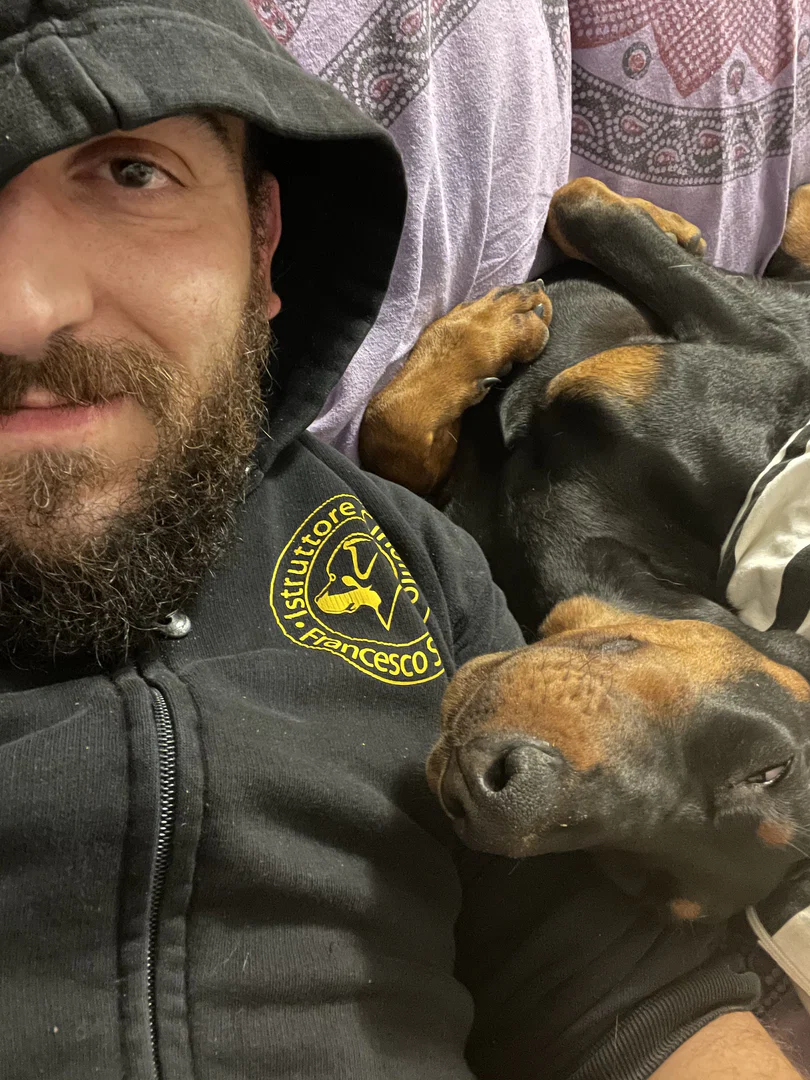 Francesco Sacco Dog Trainer πΆ profile banner