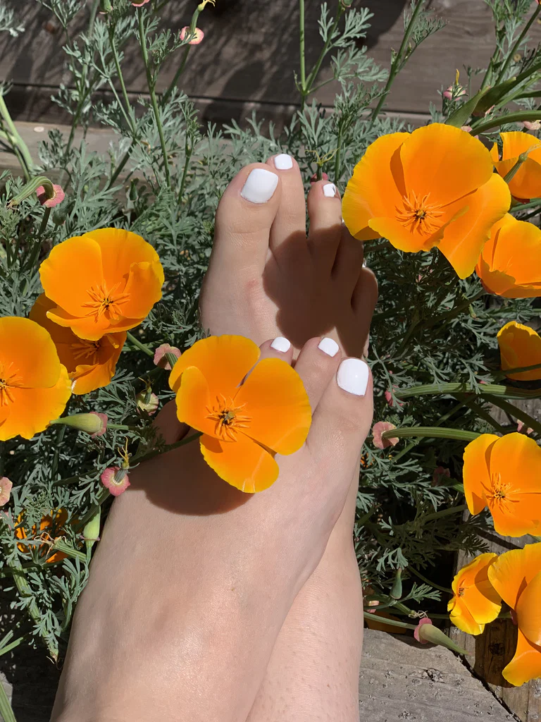 Barefoot bunny's avatar