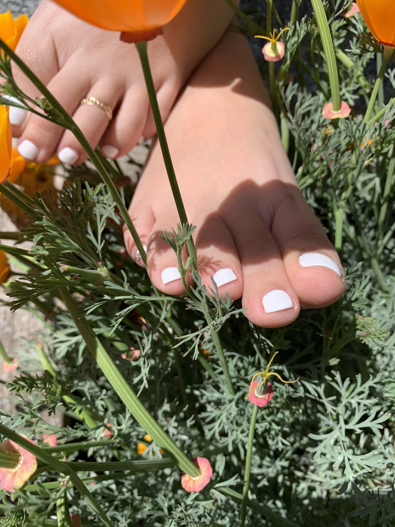 Barefoot bunny profile banner