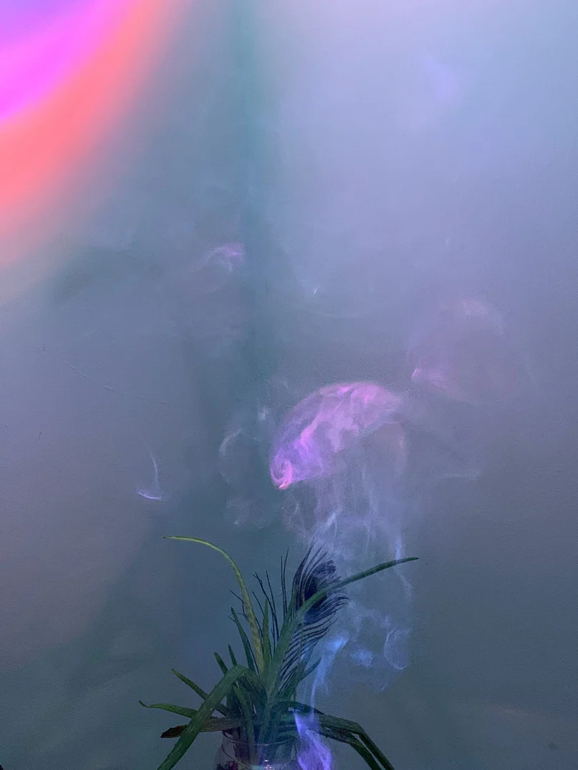 Tyla profile banner