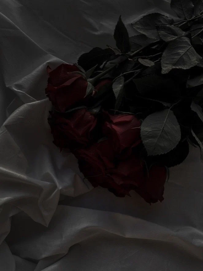 Cinnamon Girl profile banner