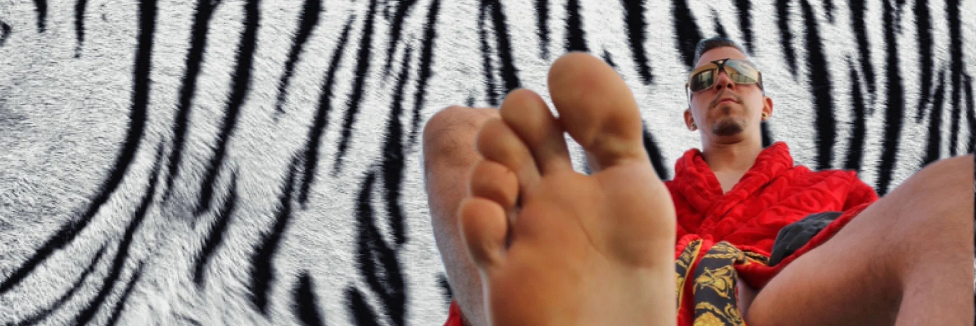π White Tiger π profile banner