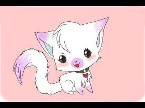 KittenAmidala profile banner