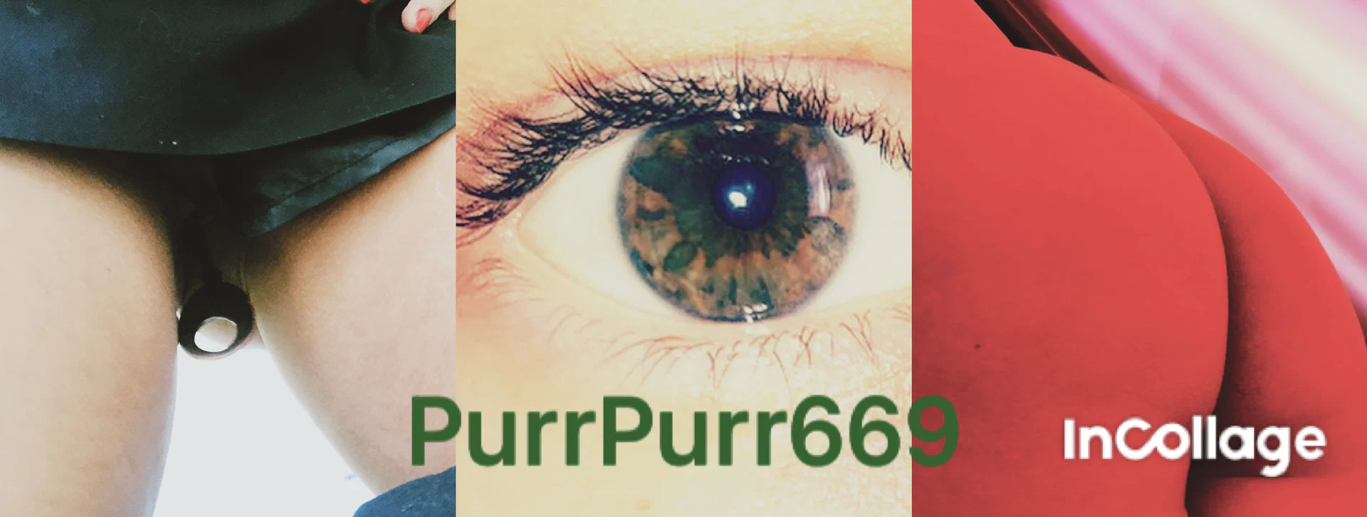 PurrPurr669 profile banner