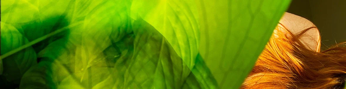 Callie Carter profile banner