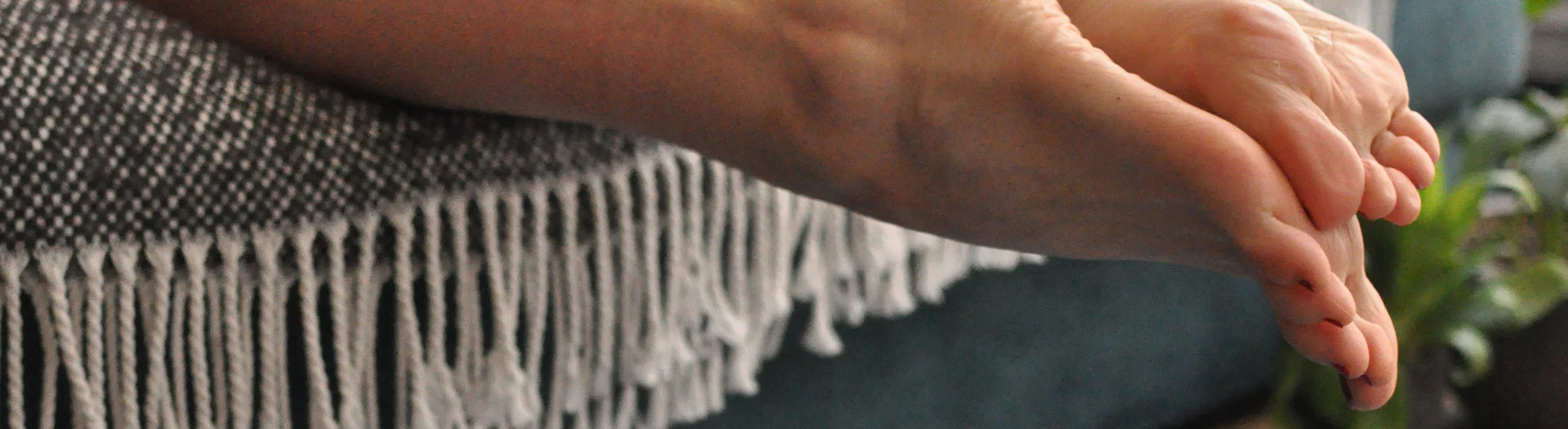 Cat Pussy profile banner