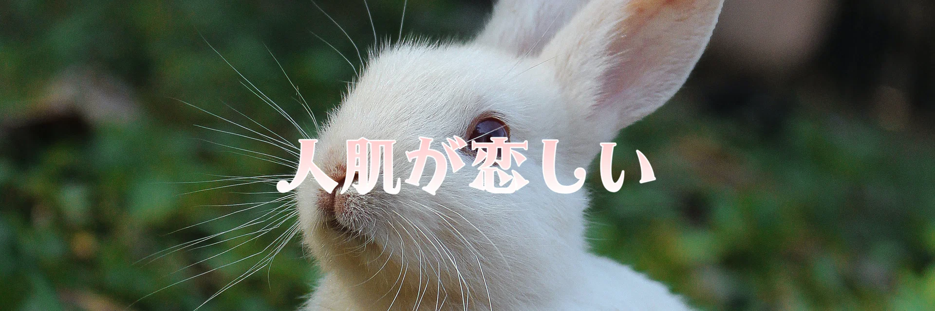 Yura / 山田ゆら profile banner