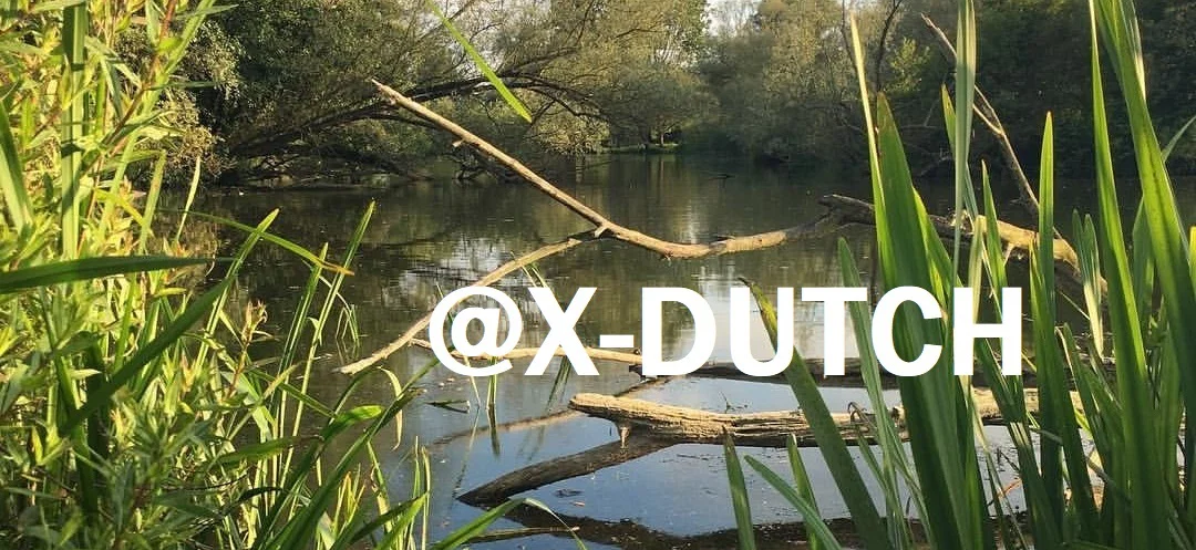 X-DUTCH profile banner