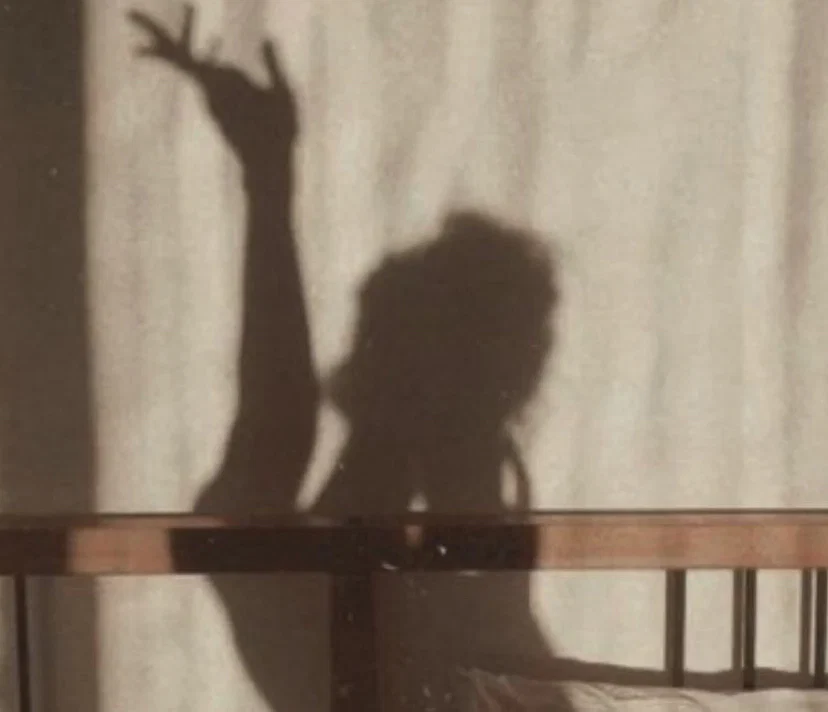 Camila profile banner