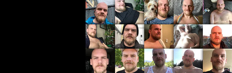 The Bear, Bare profile banner