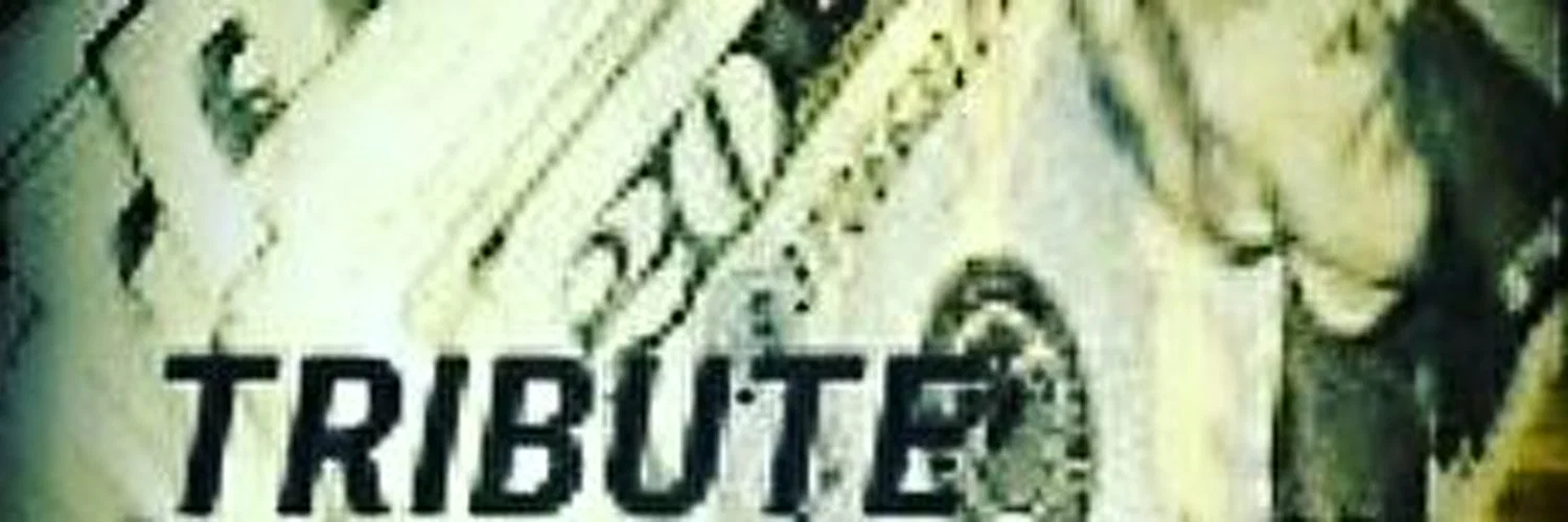 Anitta profile banner