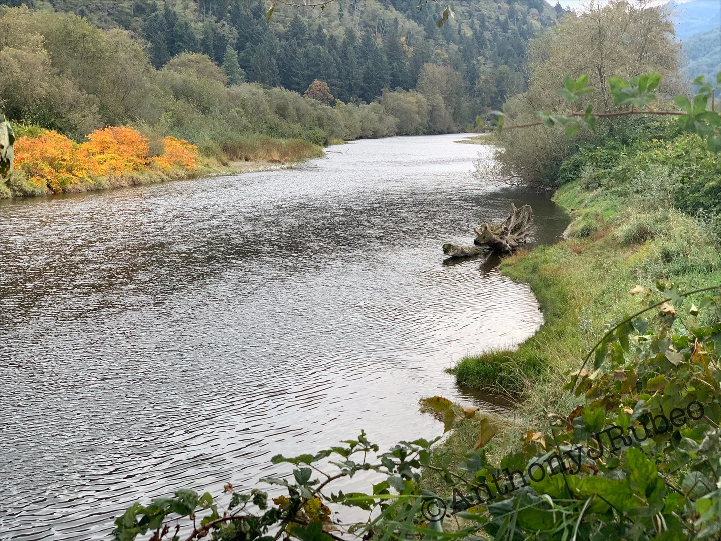 Northwest Cowboy Casanova profile banner