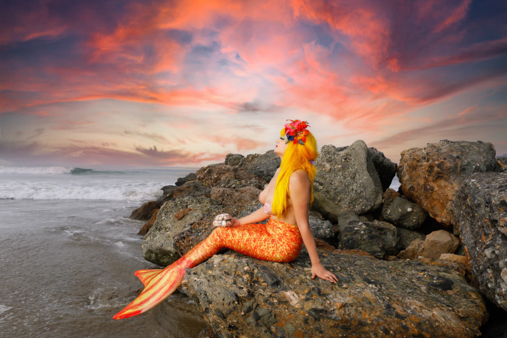 Daphne Gogo profile banner
