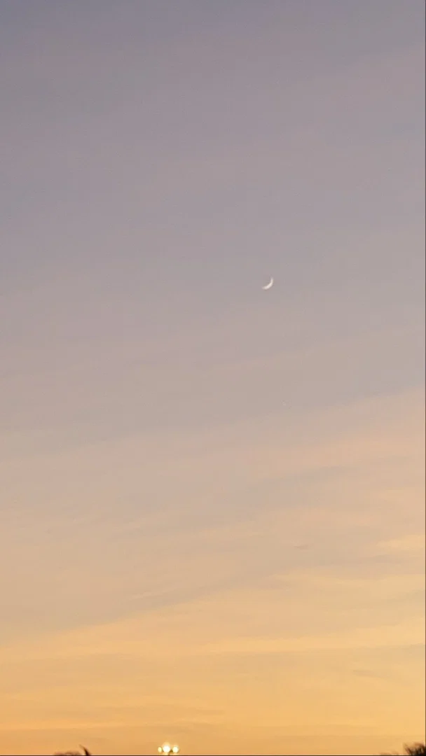 Eroticaella profile banner