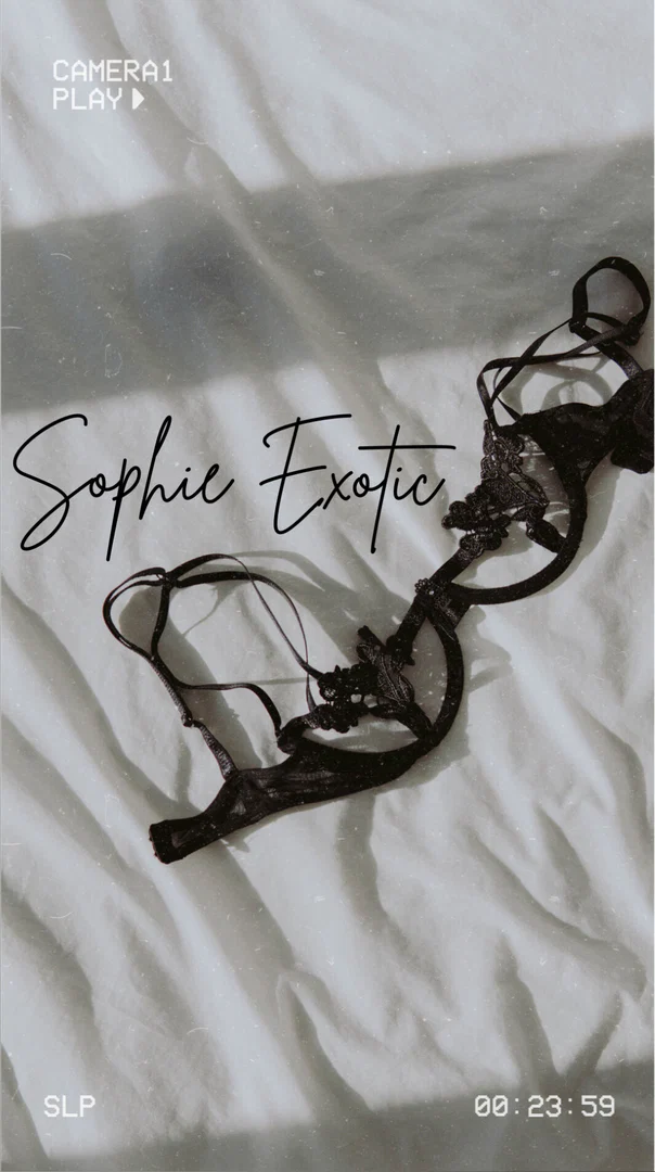 Sophie Exotic♥️ profile banner