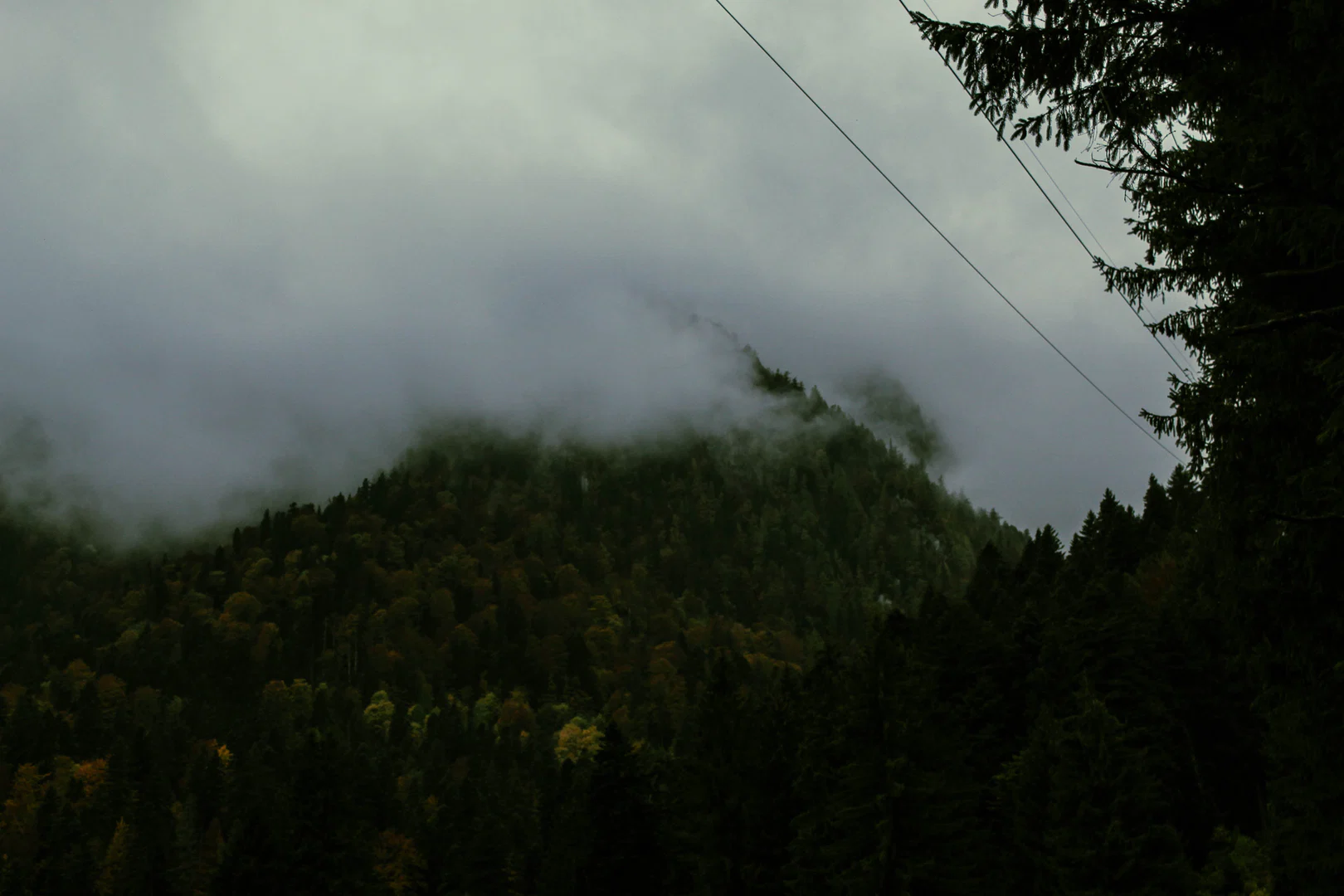 Pluviophile profile banner