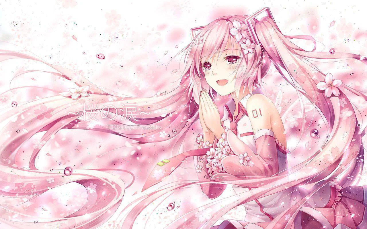 Konatas Premium Snap profile banner