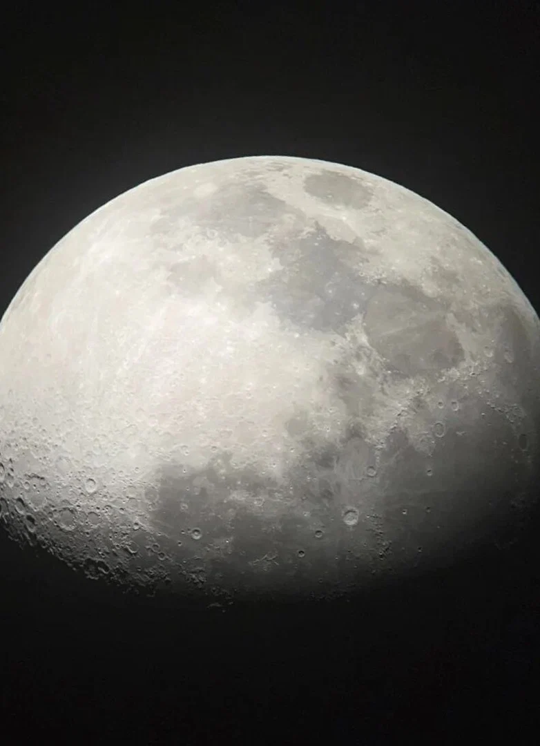 nocturnium profile banner