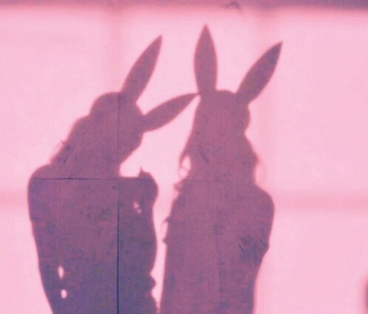 Ts Celybunny🐇 profile banner