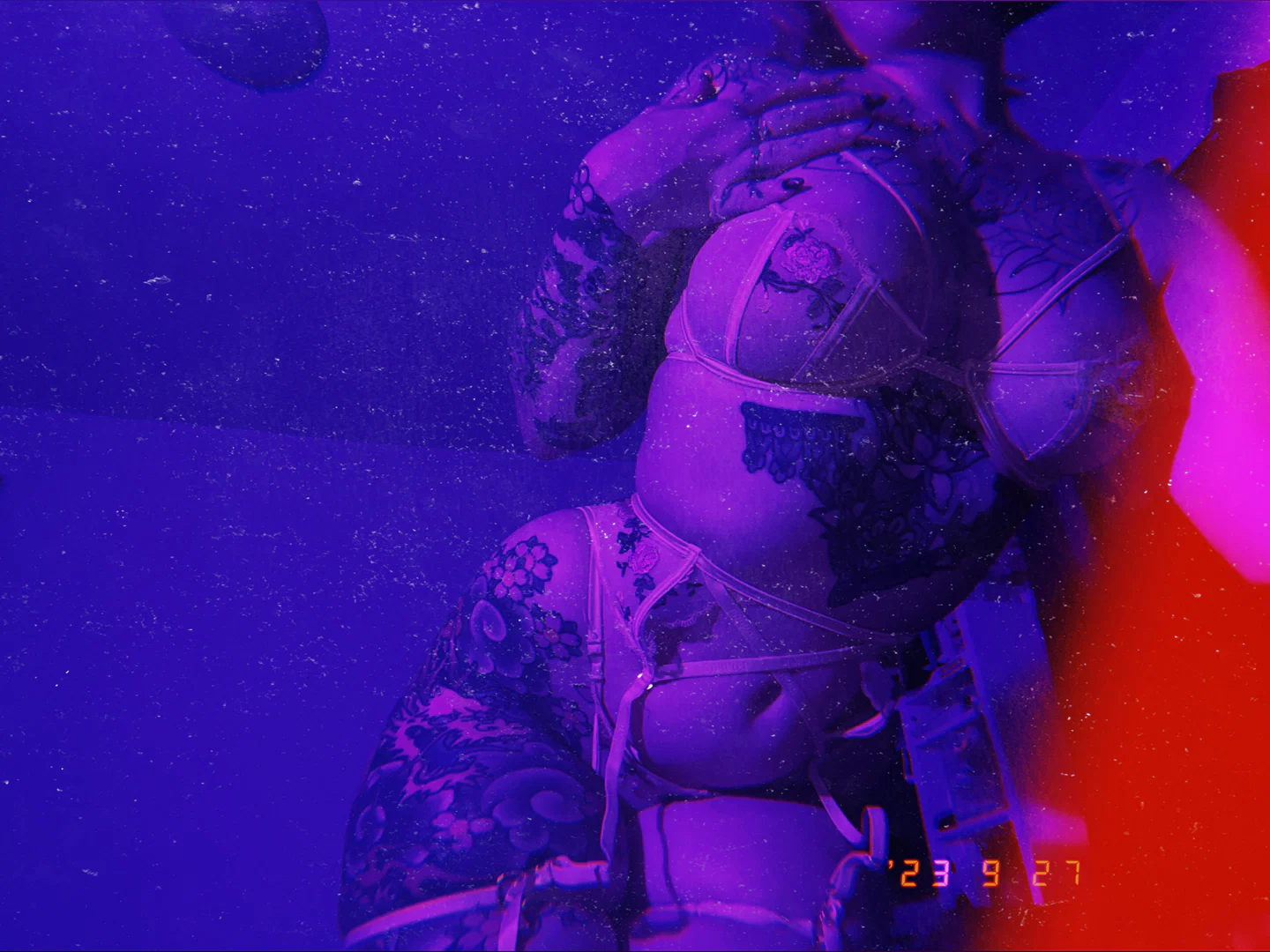 dπ¦ profile banner