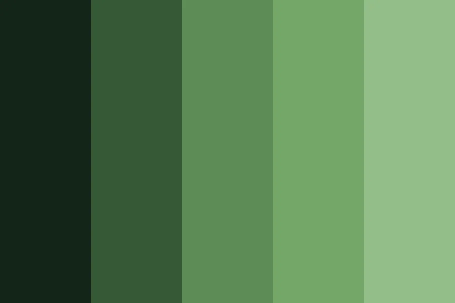 D profile banner