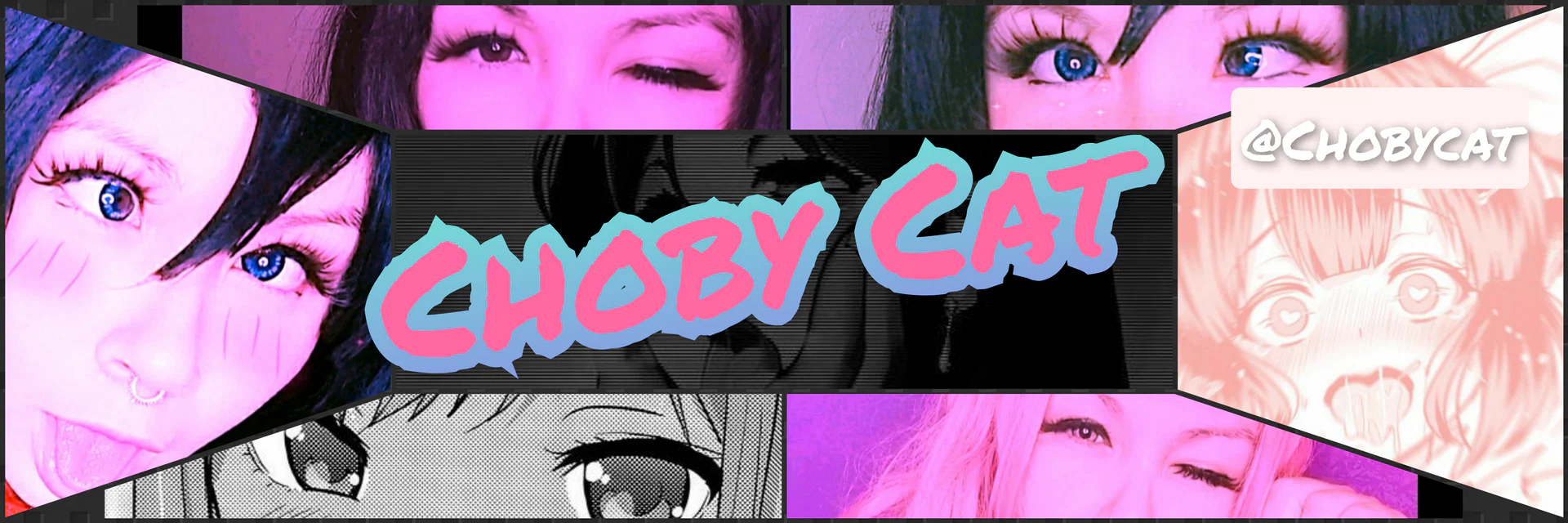 Choby cat π profile banner